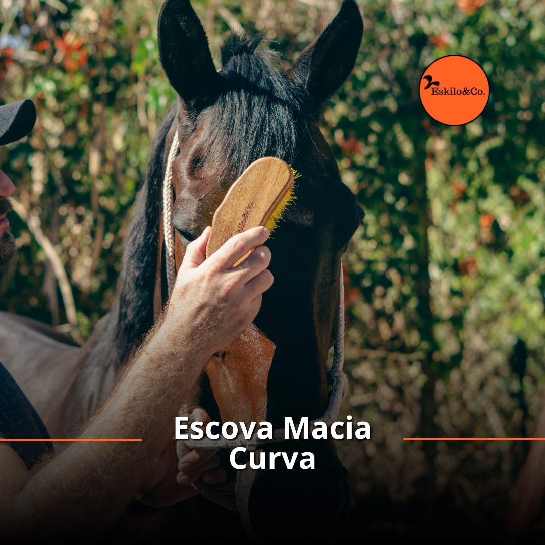 Acessórios para Cavalos em São Paulo - Eskilo & Co.