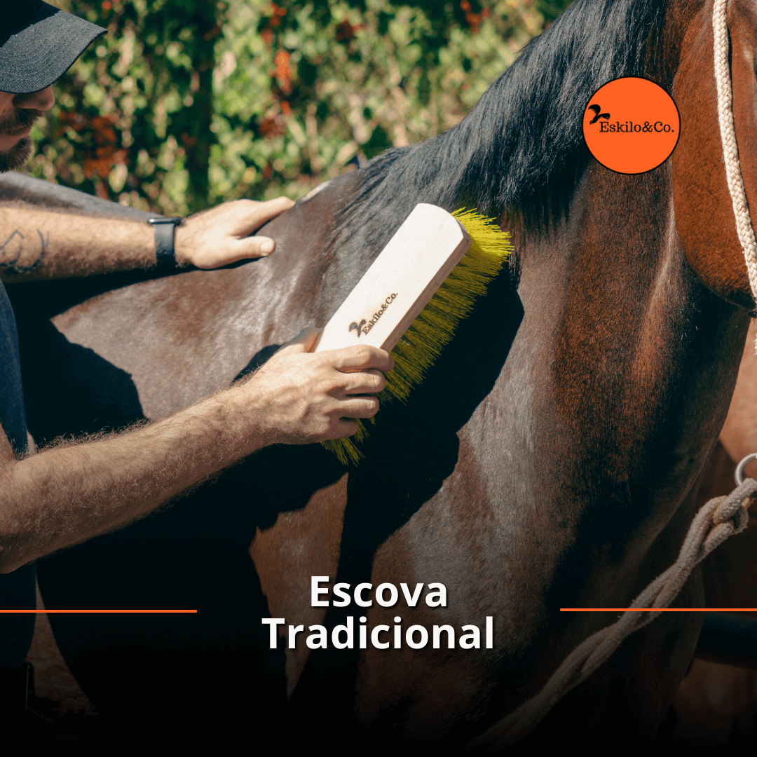 Escova tradicional para cavalo em São Paulo - Eskilo & Co.
