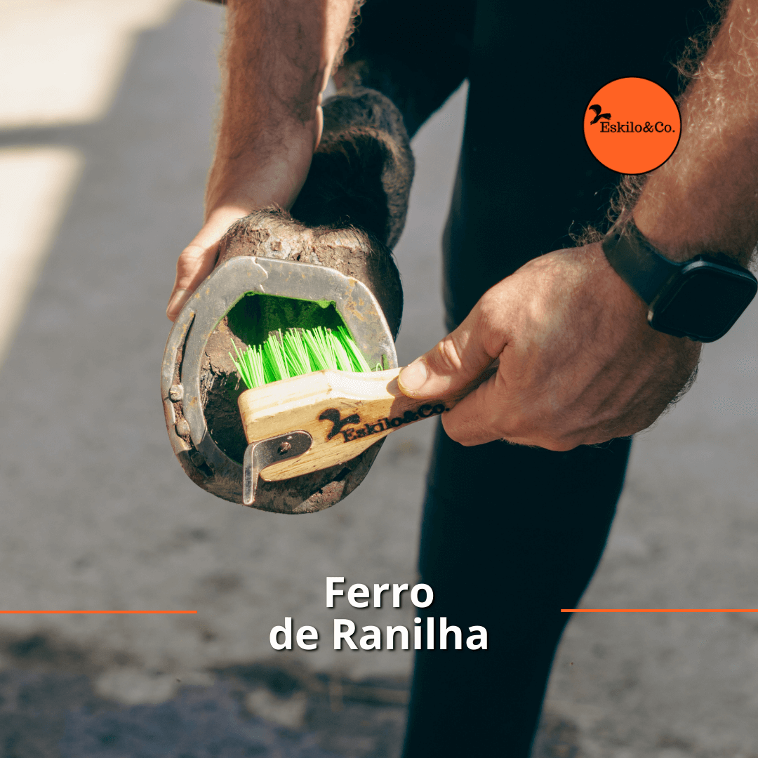 Ferro de Ranilha em São Paulo - Eskilo & Co.