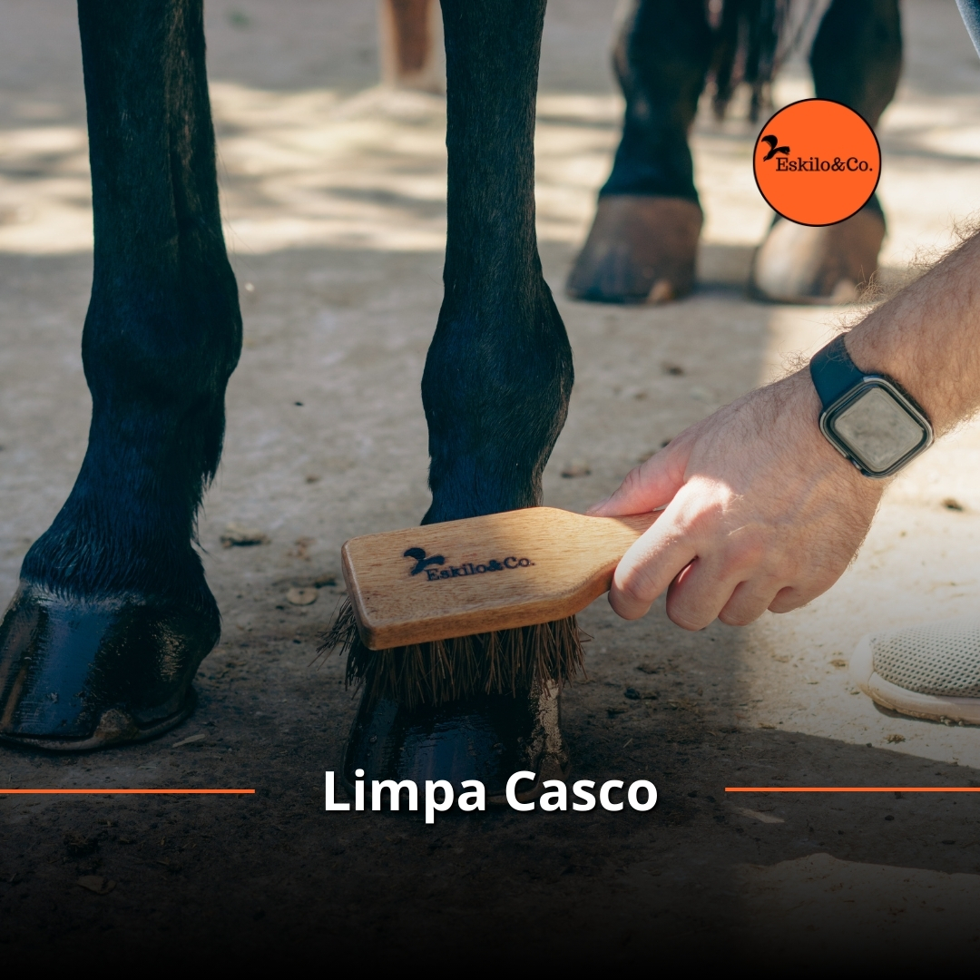 Acessórios para Cavalos em São Paulo - Eskilo & Co.