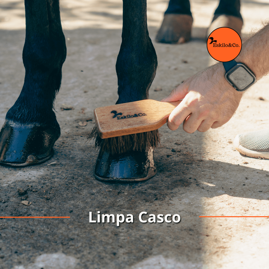 Limpa casco em São Paulo - Eskilo & Co.